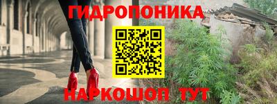 меф Гатчина