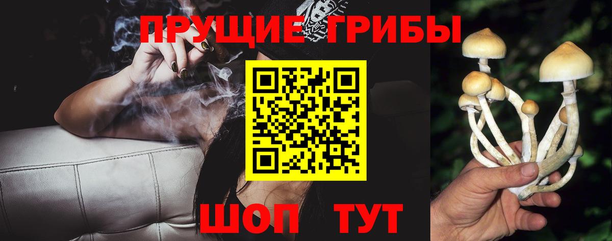 Ковров  Псилоцибиновые грибы Psilocybine cubensis  Вход с VPN  Галлюциногенные грибы Psilocybine cubensis 