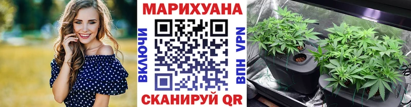 Шишки марихуана AK-47  Ковров 